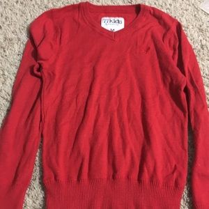 Perfect for Sunday Best V-Neck sweater